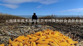 云南球形苗木基地是否对环保和社会责任有相关措施和实践