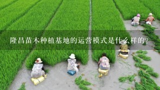 隆昌苗木种植基地的运营模式是什么样的