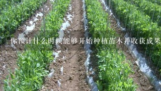 你预计什么时候能够开始种植苗木并收获成果