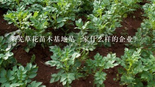 莱芜草花苗木基地是一家什么样的企业