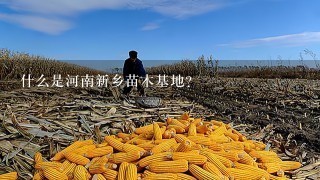 什么是河南新乡苗木基地