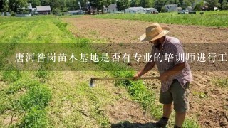 唐河昝岗苗木基地是否有专业的培训师进行工人的技术指导