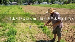 一碗水不能放两次鱼白蜡银杏苗木基地是否有自己的苗圃如果存在苗圃规模和种植环境是怎样的