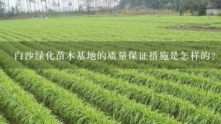 白沙绿化苗木基地的质量保证措施是怎样的