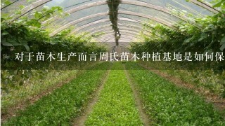 对于苗木生产而言周氏苗木种植基地是如何保障货品质量和品种稳定性的