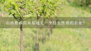 山西紫薇苗木基地是一个什么性质的企业