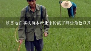 该基地在荔枝苗木产业中扮演了哪些角色以及它是否与其他机构或组织合作开发产品线或者市场营销策略