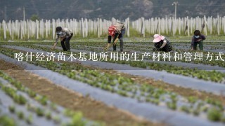 喀什经济苗木基地所用的生产材料和管理方式是否符合环保标准