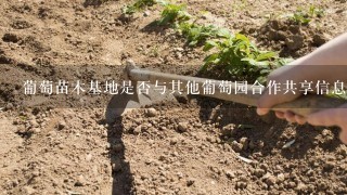 葡萄苗木基地是否与其他葡萄园合作共享信息资源以及如何合作