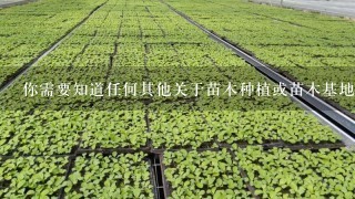 你需要知道任何其他关于苗木种植或苗木基地的信息吗