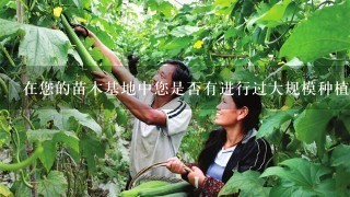 在您的苗木基地中您是否有进行过大规模种植实验和改进工作