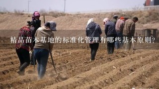 精品苗木基地的标准化管理有哪些基本原则