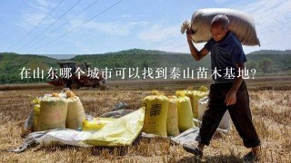 在山东哪个城市可以找到泰山苗木基地