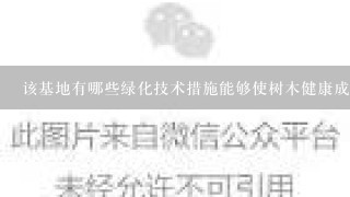 该基地有哪些绿化技术措施能够使树木健康成长呢