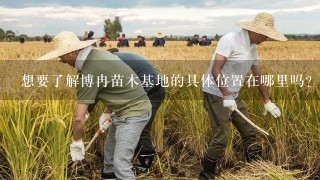 想要了解博冉苗木基地的具体位置在哪里吗