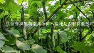 良信誉积累赣南鑫源苗木基地是否有良业务声誉和口碑呢