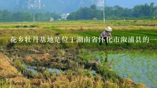 花乡牡丹基地是位于湖南省怀化市溆浦县的一个现代化农业园区主要种植和销售优质的牡丹花卉以及其他各类花卉品种3该基地由湖南花乡花卉集团投资兴建占地面积约400亩拥有先进的种植技术和设备4此外该基地还配备了专业的技术人员团队能够提供全方位的售后服务和咨询服务为客户提供更购买体验和售后保障5牡丹是我国传统名花之一具有浓郁的文化底蕴和社会历史意义6那么花乡牡丹基地是如何利用牡丹这一特色来发展自己的产业呢