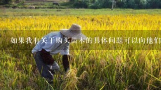 如果我有关于购买苗木的具体问题可以向他们提问吗