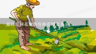 温江红枫基地的价格范围是多少