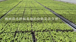 桃树苗木种植基地的价格是否合理