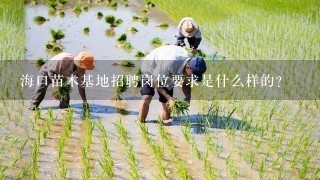 海口苗木基地招聘岗位要求是什么样的