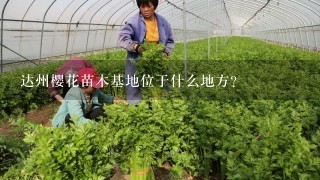 达州樱花苗木基地位于什么地方