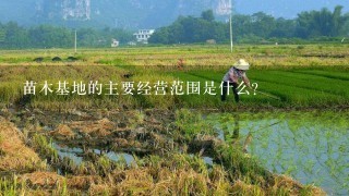 苗木基地的主要经营范围是什么?