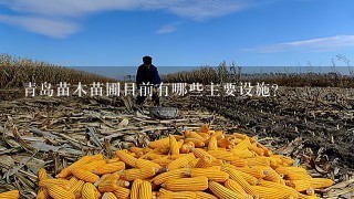 青岛苗木苗圃目前有哪些主要设施?