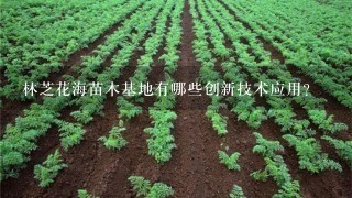 林芝花海苗木基地有哪些创新技术应用?