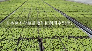 玉林苗木种植基地如何利用水资源?