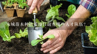 永城苗木种植基地目前有哪些人才队伍?