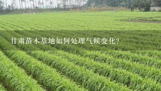 甘肃苗木基地如何处理气候变化?