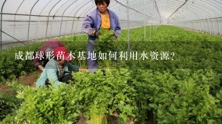 成都球形苗木基地如何利用水资源?