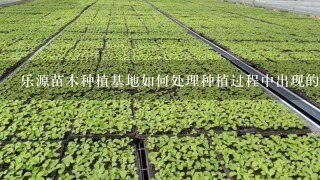 乐源苗木种植基地如何处理种植过程中出现的病虫害?