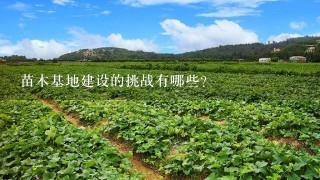 苗木基地建设的挑战有哪些?