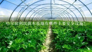 哈尔滨利民苗木基地有哪些主要安全设施?