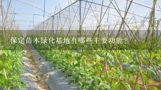 保定苗木绿化基地有哪些主要功能?