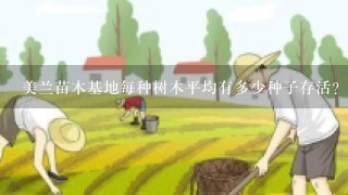 美兰苗木基地每种树木平均有多少种子存活?