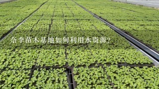 奈李苗木基地如何利用水资源?