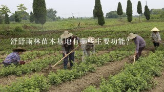 舒舒雨林苗木基地有哪些主要功能?