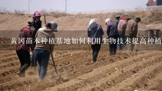 黄冈苗木种植基地如何利用生物技术提高种植效率?