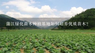 蒲江绿化苗木种植基地如何培养优质苗木?