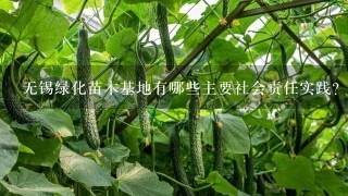 无锡绿化苗木基地有哪些主要社会责任实践?