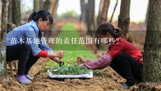 苗木基地管理的责任范围有哪些?