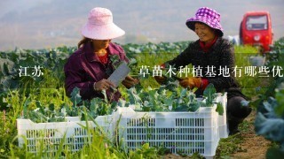 江苏انگلیسی草苗木种植基地有哪些优势?