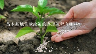 苗木基地贷款政策的办理流程有哪些?