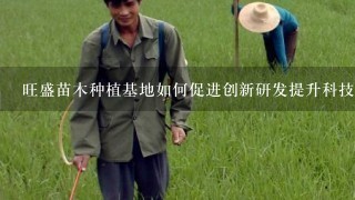 旺盛苗木种植基地如何促进创新研发提升科技水平?