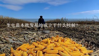 奎屯苗木批发基地成立于什么时候?