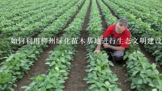 如何利用柳州绿化苗木基地进行生态文明建设?