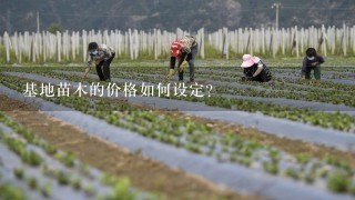 基地苗木的价格如何设定?